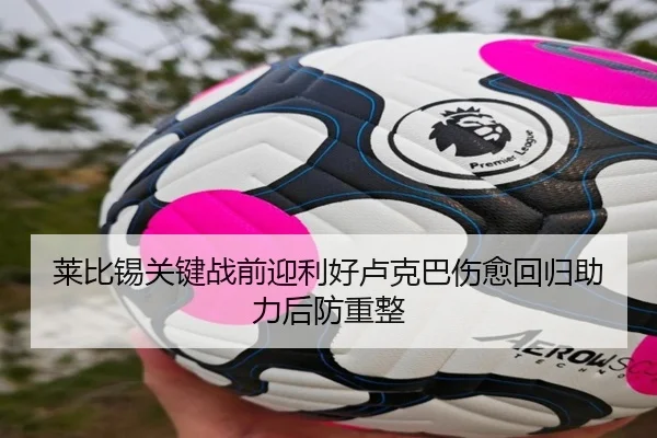 莱比锡关键战前迎利好卢克巴伤愈回归助力后防重整 | kaiyun